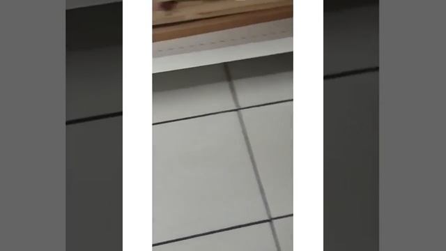 Тараканы бегают по магазину магнит в городе Новокузнецк смотреть онлайн