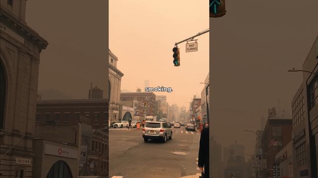 New York Has The Worst Air Quality In The World смотреть онлайн