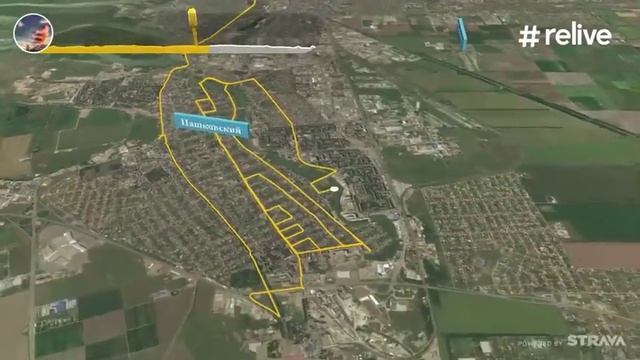 Это должен был быть китайский дракон смотреть онлайн