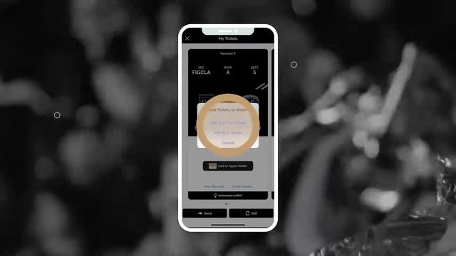 FC LosAngeles with Apple Wallet Ticket смотреть онлайн