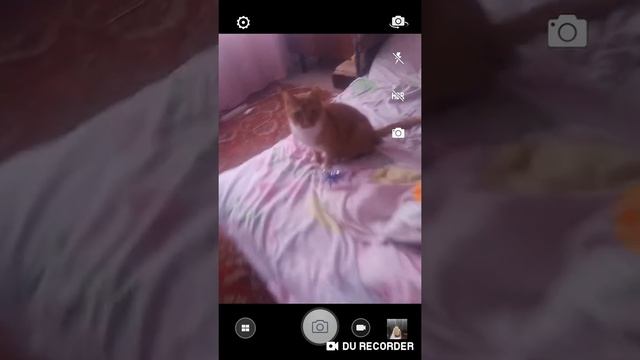Крейси и Чарли вместе (3 часть) смотреть онлайн
