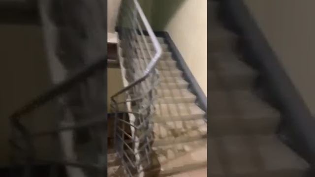 Затопленный подъезд на Депутатской смотреть онлайн