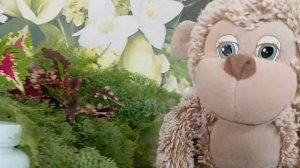 🐒🌿Элексир жизни.Селлгенетикс🌿