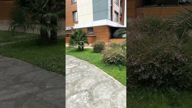 Продажа квартир у моря смотреть онлайн