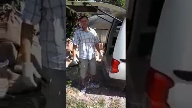 VID 20170920 WA0000 смотреть онлайн