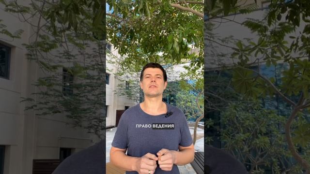На что обращать внимание при заключении договора аренды в Дубае? смотреть онлайн