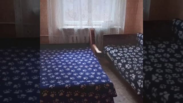 аренда квартир