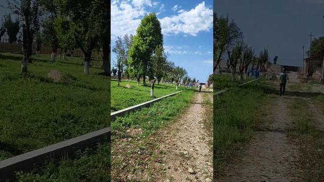 Как идёт стройка у наших инвесторов в Абхазии смотреть онлайн