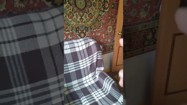 24 июля 2021 г. смотреть онлайн