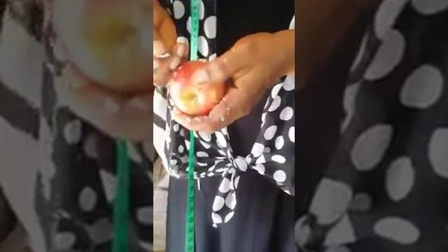 Why we should not eat imported apples смотреть онлайн