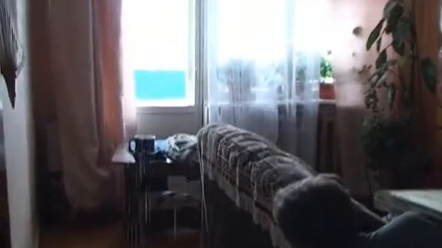 сгорела квартира и автомобиль смотреть онлайн