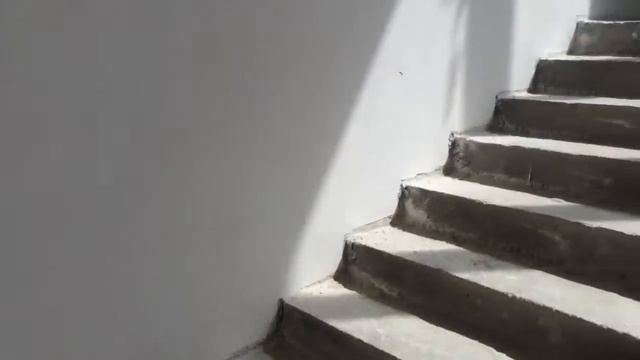 Москва, ул. Перерва 53 внутри смотреть онлайн