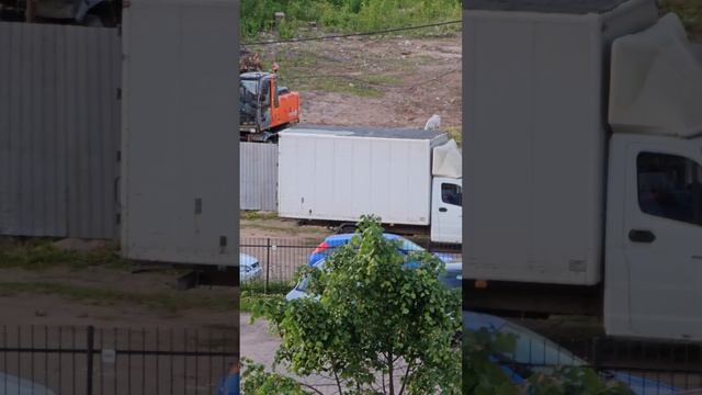 Козы в городе! | 10 км до Невского проспекта.