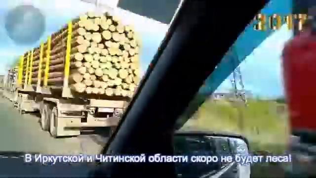 ЛЕС РУБЯТ- ДОЛЛАРЫ ЛЕТЯТ ! смотреть онлайн