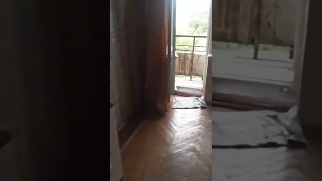 Новоизмайловский 85