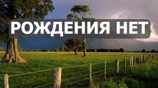 Рождения нет - Роберт Адамс смотреть онлайн
