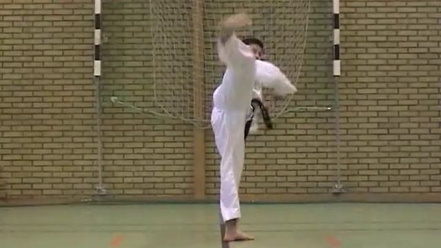 Taekwon-do ITF - euiam. Ч 13 смотреть онлайн