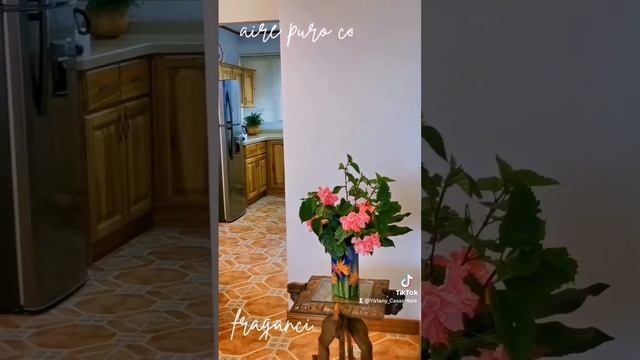 ALQUILER Villa Ciprés San Rafael de Heredia $1395 /mes. #villa #montaña #belleza #paz #amor #salud смотреть онлайн