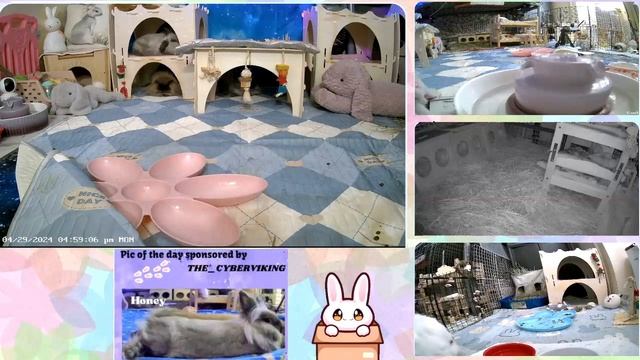 'Сынок я продала квартиру и вложилась в акции!' Мать уже улеглась в спальне молодых, но тут... смотреть онлайн