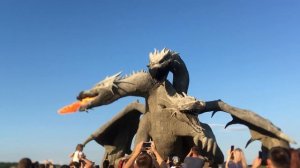 ПОЕЗД 245 «САНКТ-ПЕТЕРБУРГ - ЕЙСК». Как мы ехали к морю 🔥🐳♥️