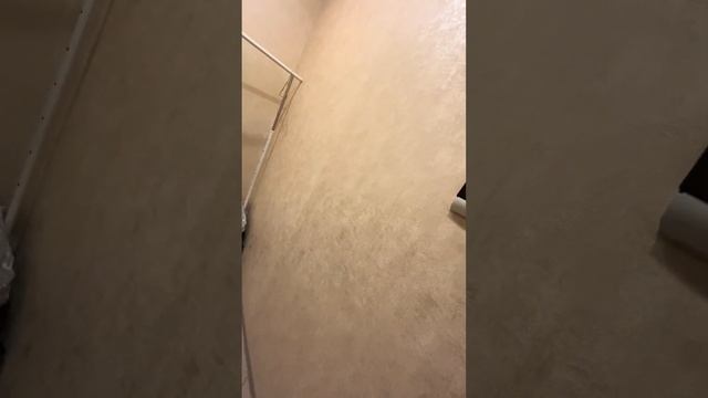 25 октября 2023 г. смотреть онлайн