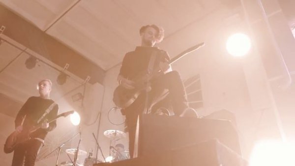 BUMBLE BEEZY x [AMATORY]