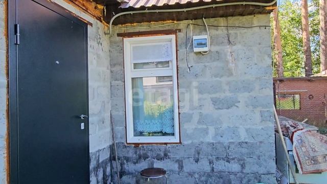 11206730 Кедровый смотреть онлайн