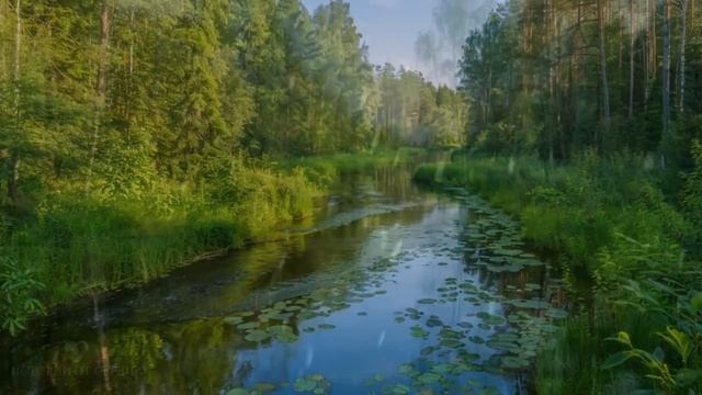Сидишь дома с малышами и не устаешь! говорил муж Алине послушав свекровь. Но оказавшись на ее месте смотреть онлайн