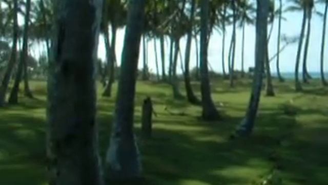 Playa Encuentro (Республика Доминикана недвижимость) смотреть онлайн