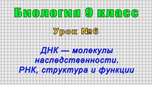 Биология 9 класс (Урок№6 - ДНК — молекулы наследственности. РНК, структура и функции.)