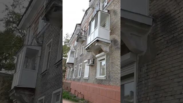 Голубь зверь странный смотреть онлайн