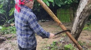 Husband could not find the mute bride. Mother-in-law cruelly endured, Ly Tu Ti