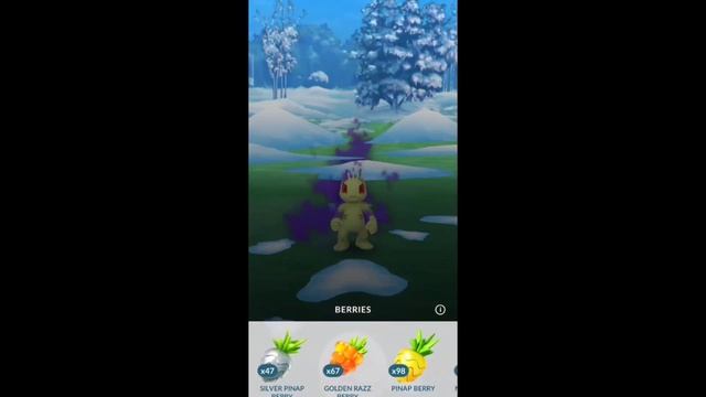 Shadow Shiny ✨ Pokemon Caught In December Community day Wow 🤩🤩 смотреть онлайн