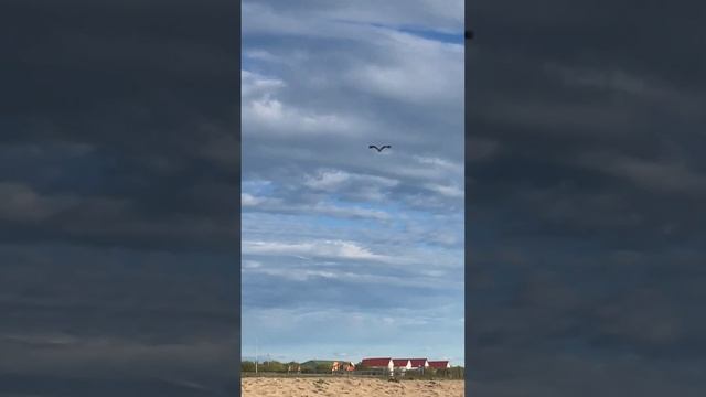 Еравнинский район.лето2022. Эгитуйский дацан. Зандан Жуу