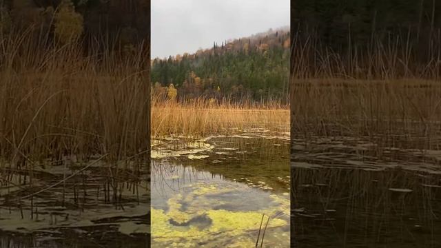 Природа в Караидельском районе Республики Башкортостан #башкирия #караидель #природа #река смотреть онлайн