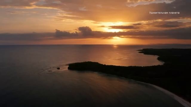 Ямайка - белый песок, голубая вода и растаманы. смотреть онлайн