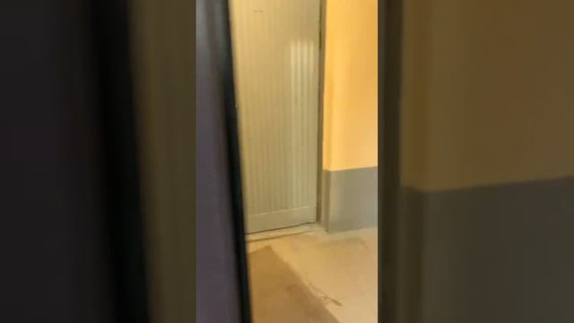 5 мая 2024 г. смотреть онлайн