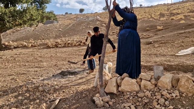 Mohsen's brother Kavos' compassionate help to Akram, a lonely nomadic woman смотреть онлайн