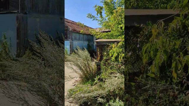 За водой в колодец #касли смотреть онлайн