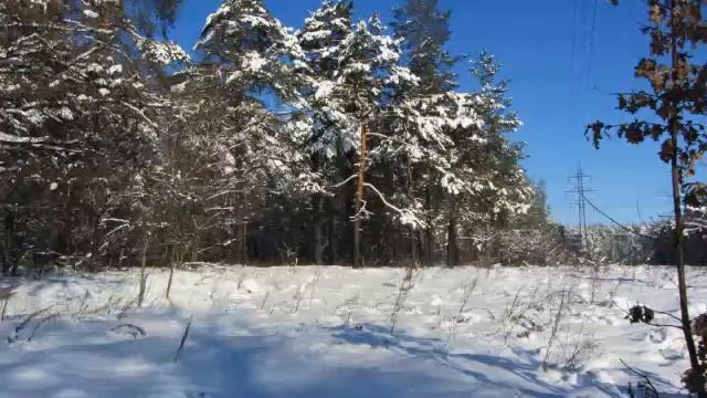 Зима.Новобеличи. смотреть онлайн