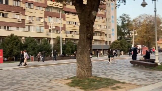 Любимый город Алматы. Карантин. Улица Жибек Жолы смотреть онлайн