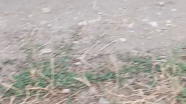 Геническ тихий спокойный вечер смотреть онлайн