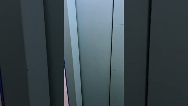 12 декабря 2023 г. смотреть онлайн