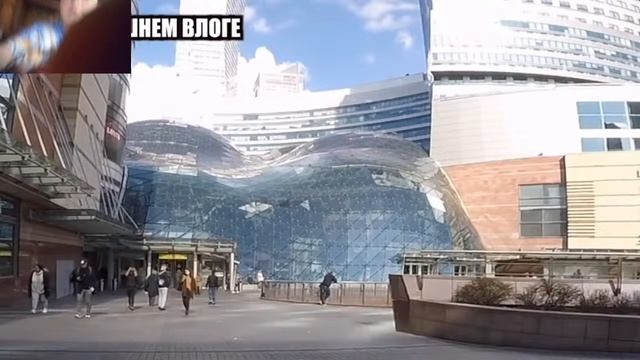 Прямая трансляция пользователя никита носик смотреть онлайн