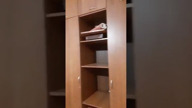 Ростов-на-Дону Социалистическая смотреть онлайн