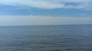 Ольгинка 2024 - курортный поселок - общее впечатление, развлечения, еда, море, пляж #отпуск #отдых