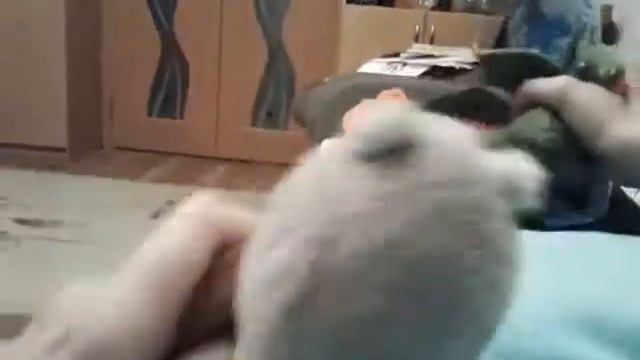 Ключ от Пети смотреть онлайн