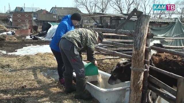 передача на 08 04 21 смотреть онлайн