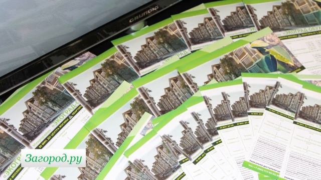 Зордекс Девелопмент