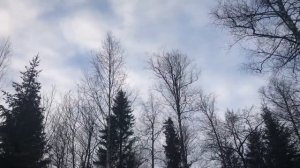 Всё начинается с любви